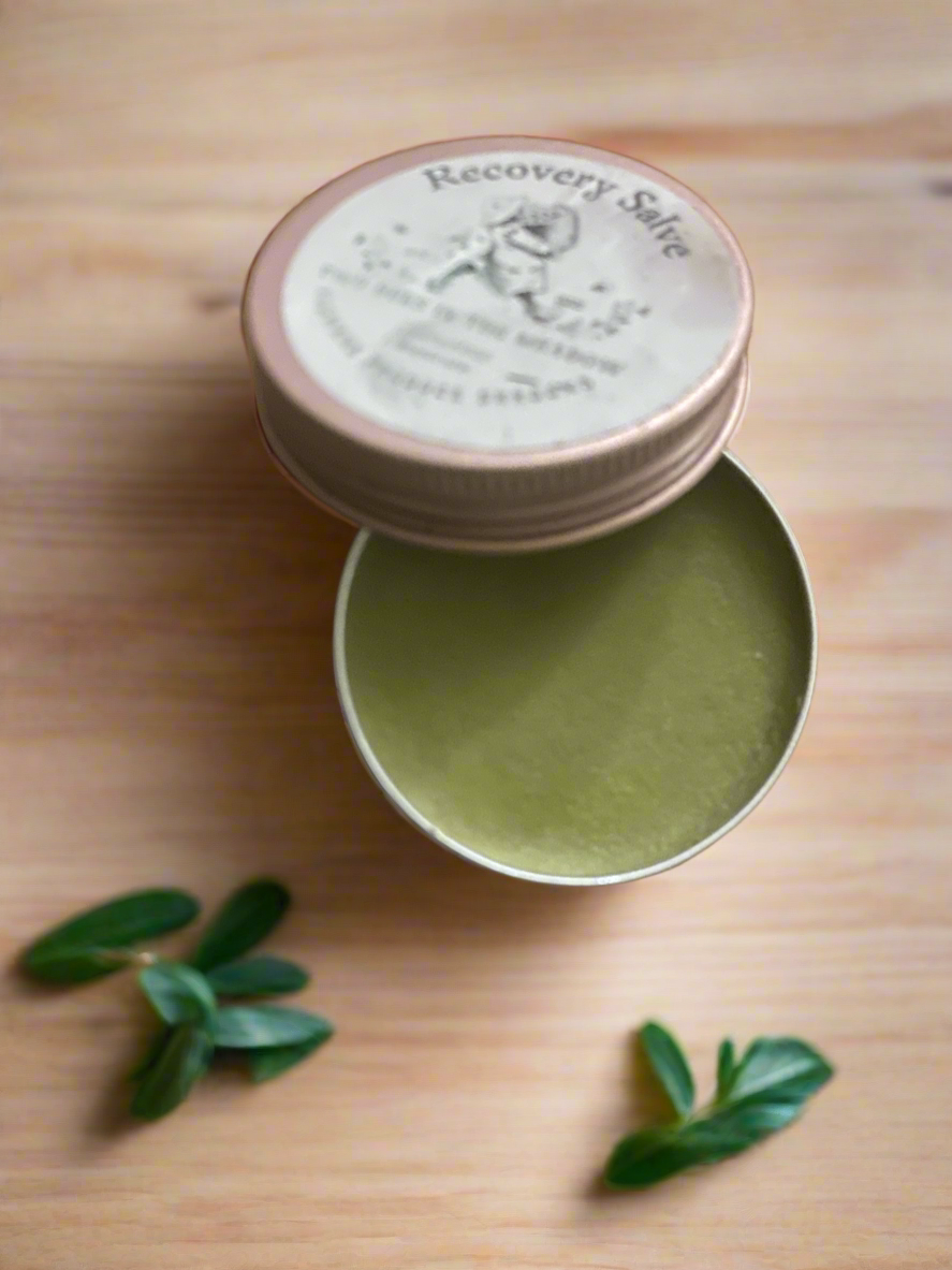 Botanical Recovery Salve